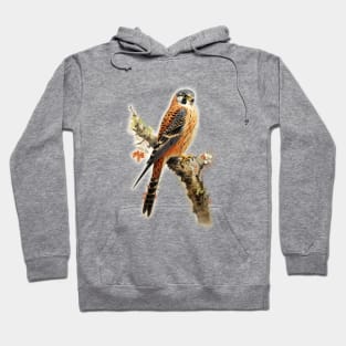 American Kestrel - Raptor Hoodie